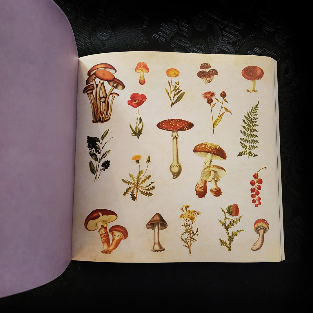 Mystical Ephemera! An Enchanting Vintage Sticker Book