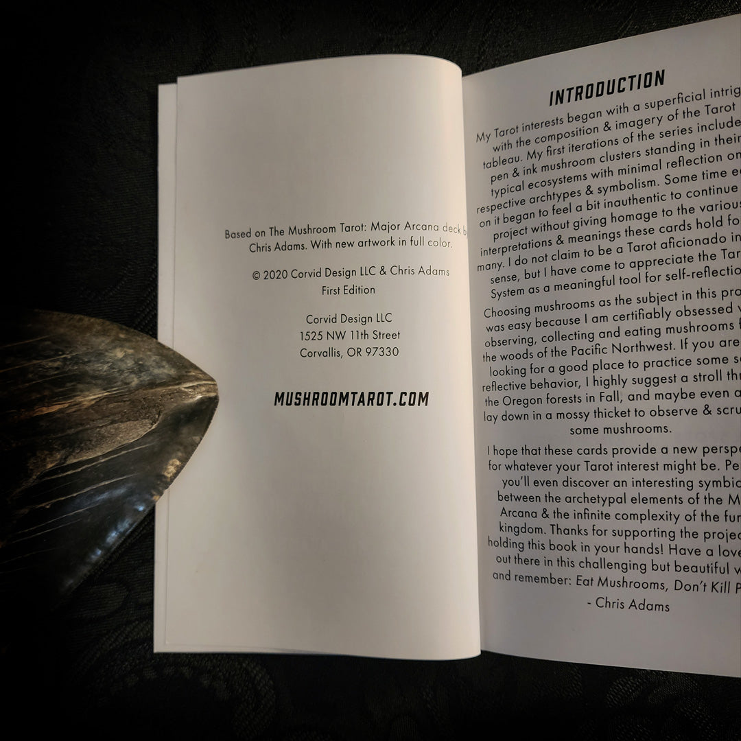 The Mushroom Tarot 1st Edition