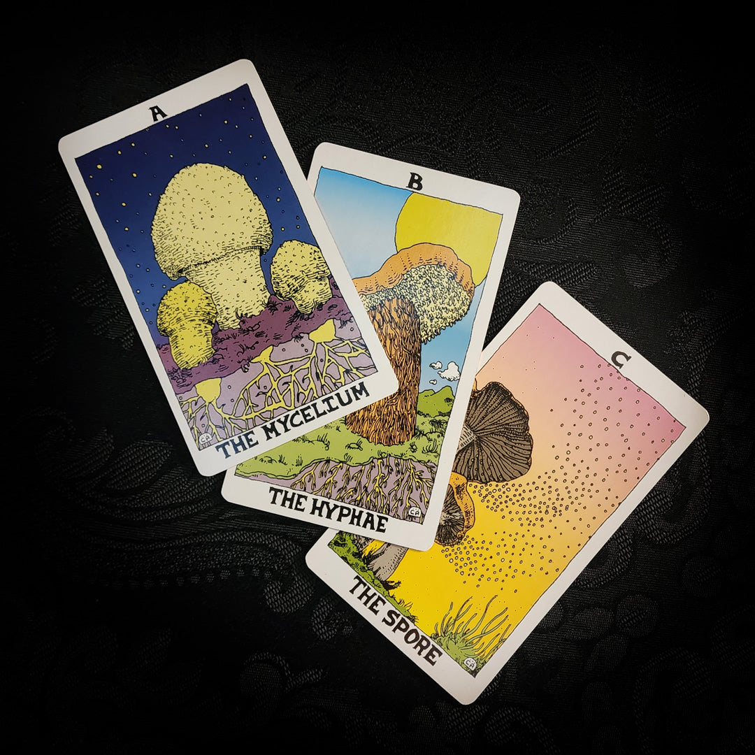 The Mushroom Tarot 1st Edition