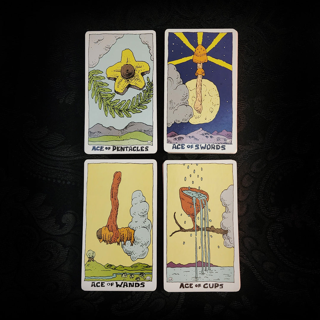 The Mushroom Tarot 1st Edition