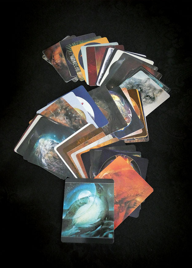 Animal Spirits Knowledge Cards