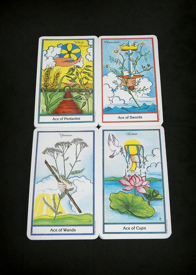 Herbal Tarot Deck and Book Set