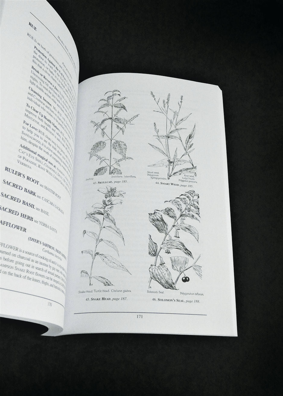 Hoodoo Herb And Root Magic