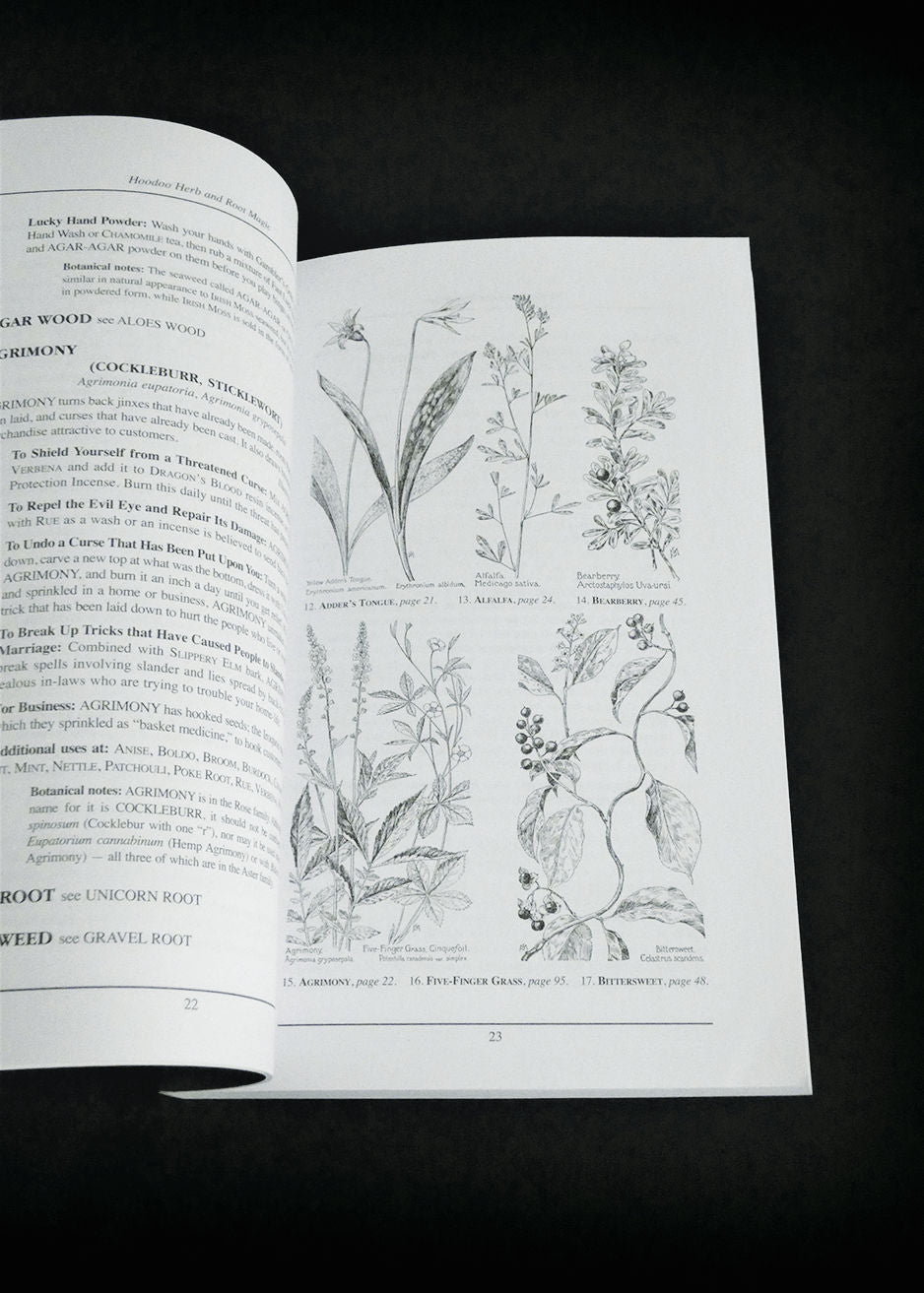 Hoodoo Herb And Root Magic