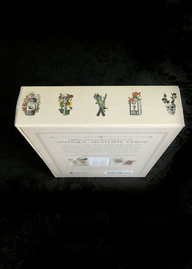 The Antique Anatomy Tarot