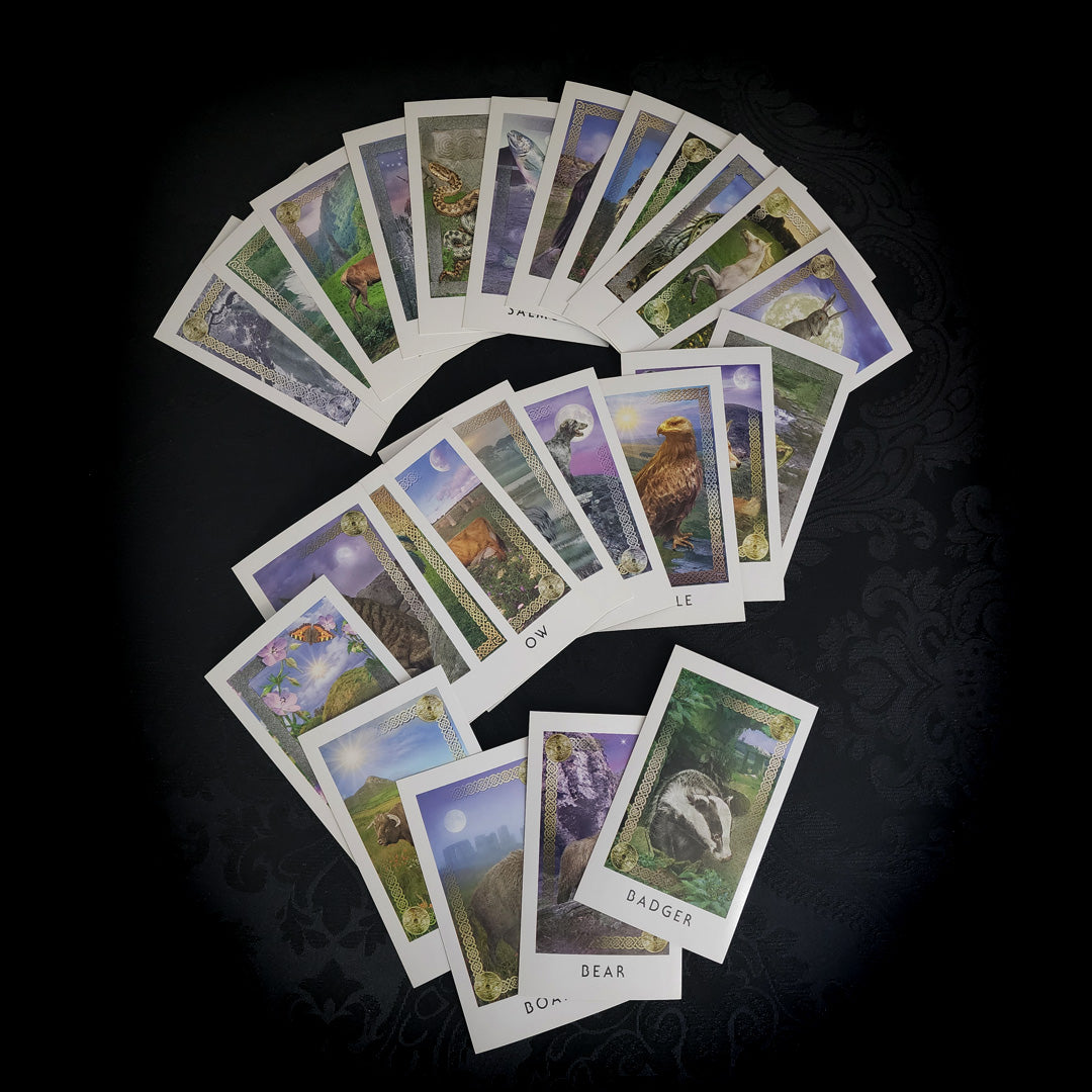 The Celtic Animal Oracle