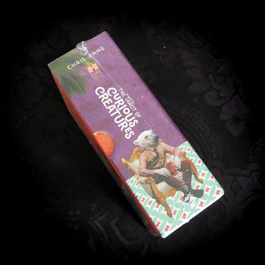 The Tarot of Curious Creatures