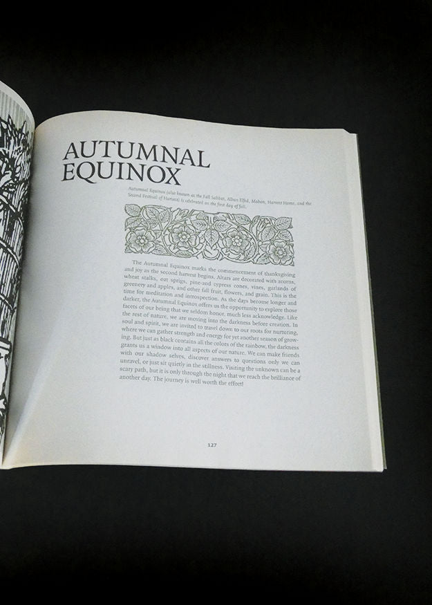 Wicca Cookbook; Recipes, Ritual, and Lore, The