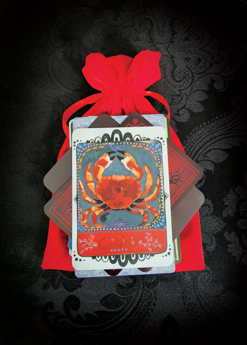 Mixed Tarot and Oracle Card Collection