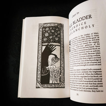 La médecine d'Hildegarde de Bingen