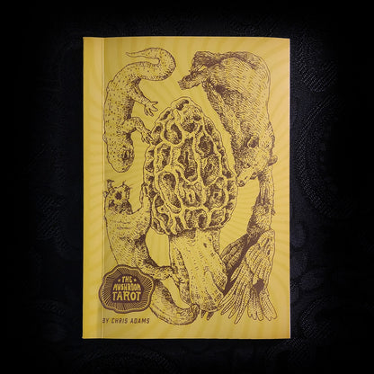 The Mushroom Tarot 1st Edition