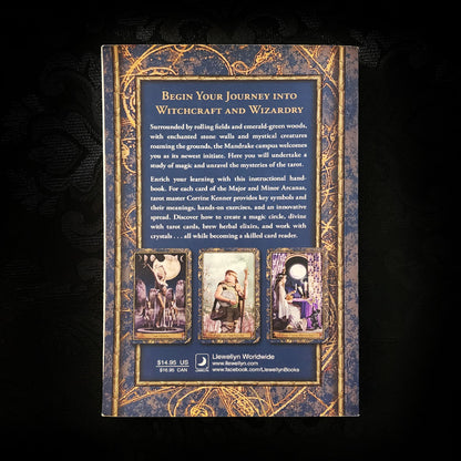 Wizards Tarot Book and Deck Set