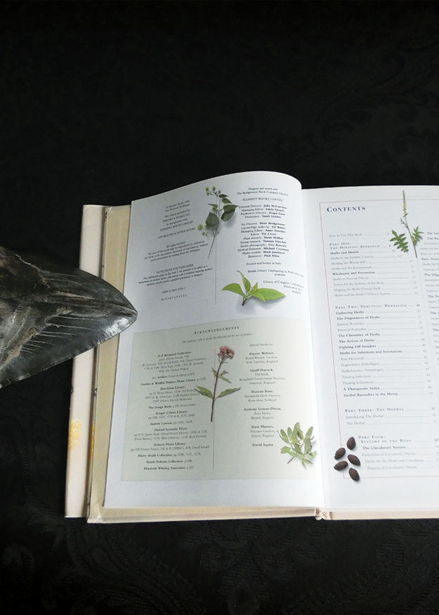 L'Herbier illustré complet