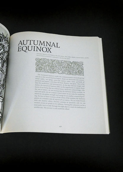 Wicca Cookbook; Recipes, Ritual, and Lore, The